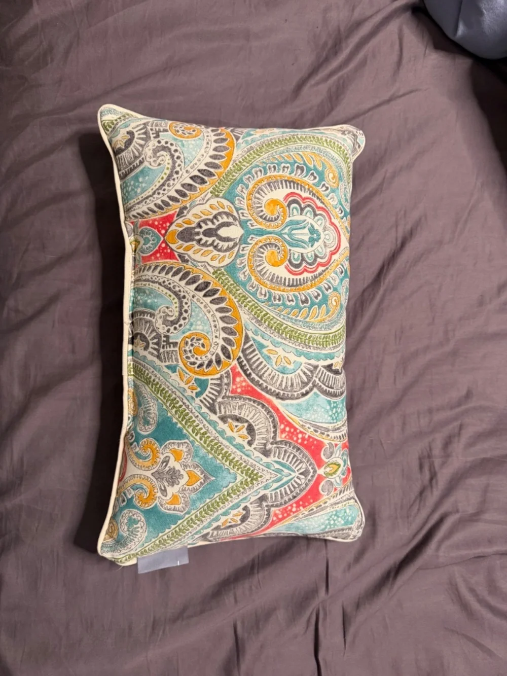 Decorative pillows 2 pack